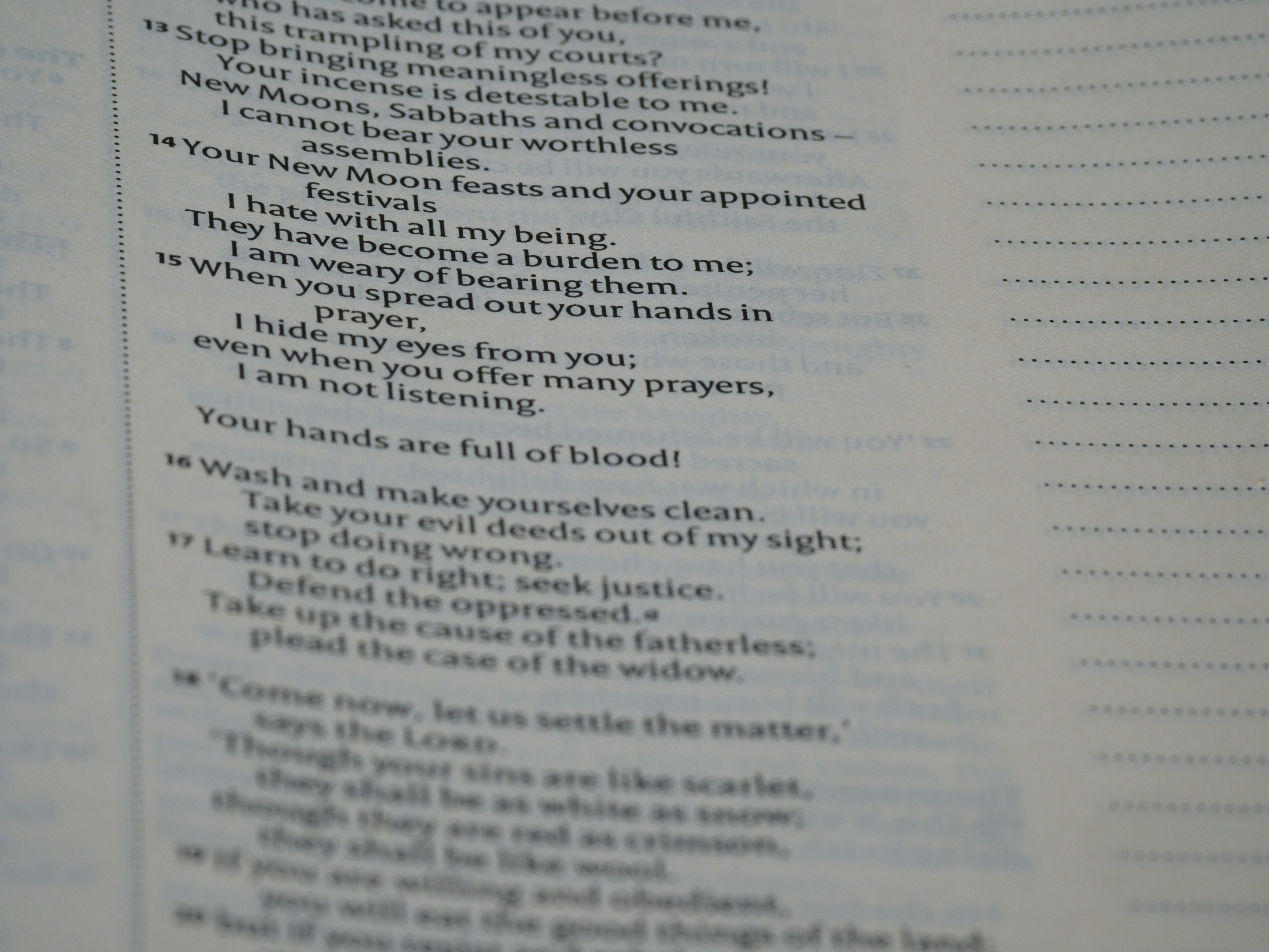 Photo by brett_jordan