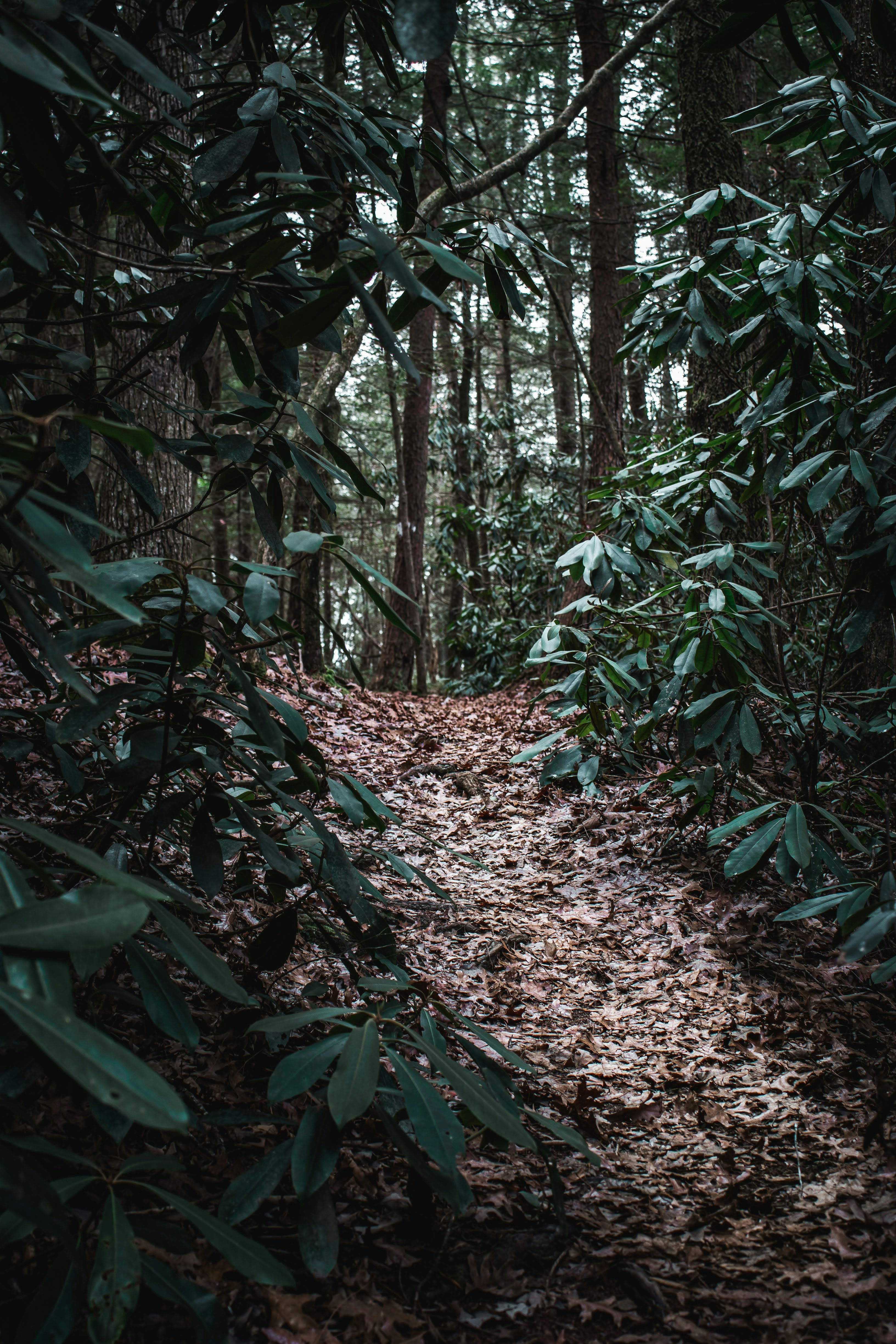 Photo by brice_cooper18