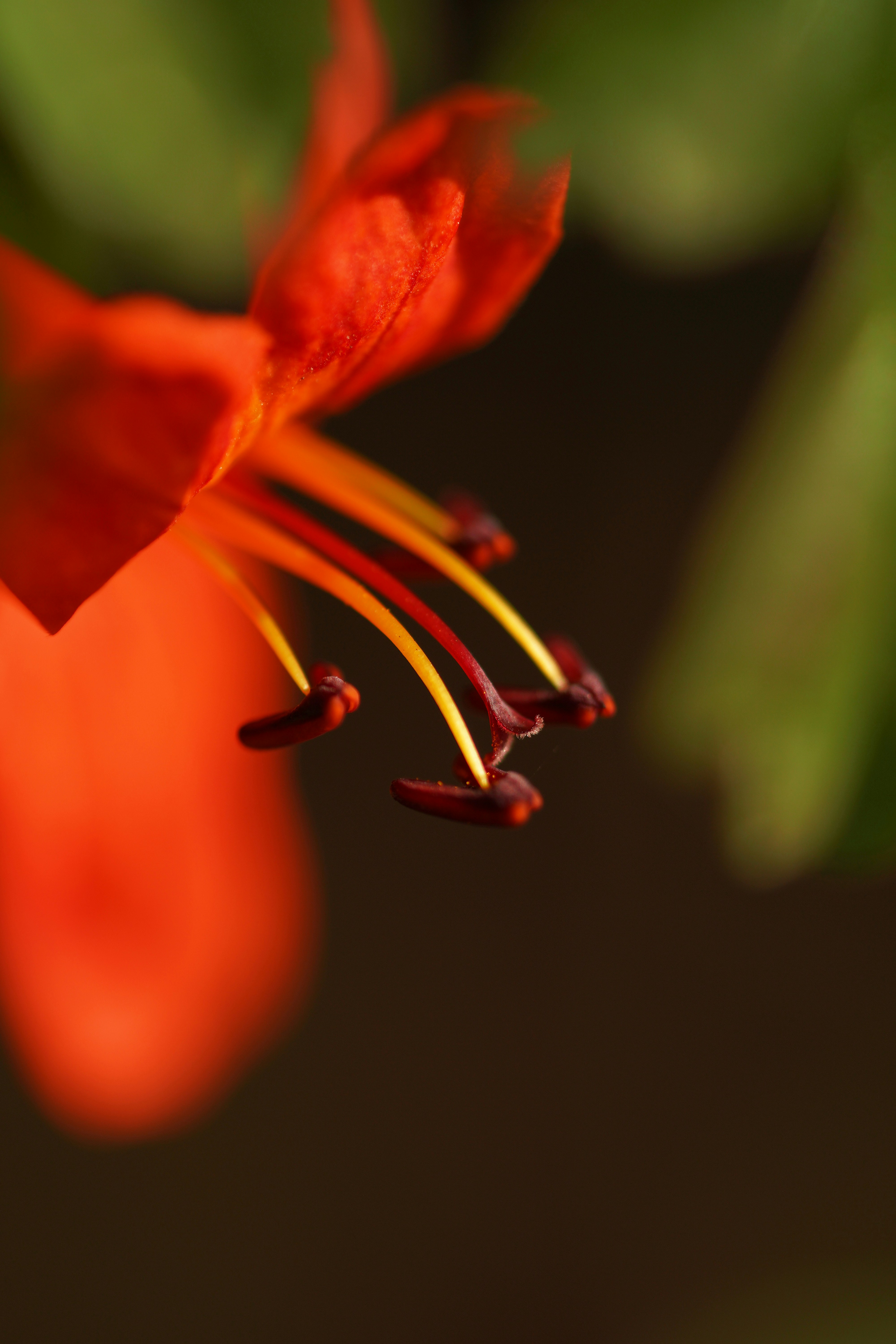 Photo by countingframez