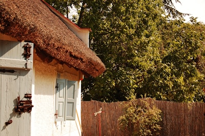 A rustic cottage with a thatched roof and light blue wooden shutters is nestled among lush greenery. The building's facade is white, and the shutters have a weathered look. Tall trees with dense foliage surround the area, and a fence made of wooden reeds adds to the natural setting.
