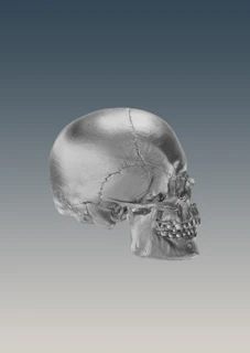A modern metallic skull sculpture displayed on a minimalist console table with soft lighting.