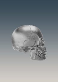 A metallic skull sculpture is positioned against a gradient background that transitions from dark grey at the top to light grey at the bottom. The skull appears polished and detailed, highlighting its anatomical features with smooth textures and visible sutures.