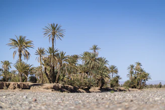Skoura no Marrocos