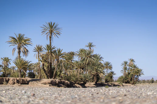 Skoura no Marrocos