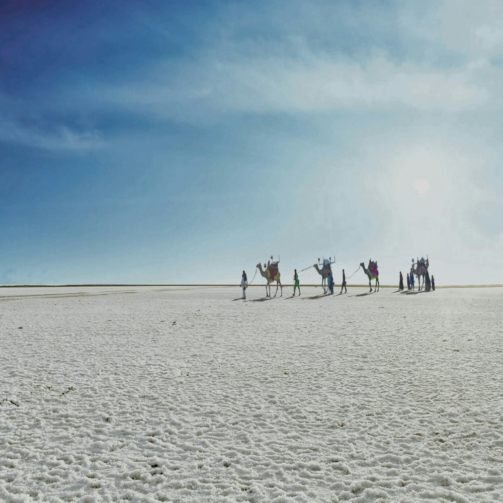 a group of people walking on a sandy beach