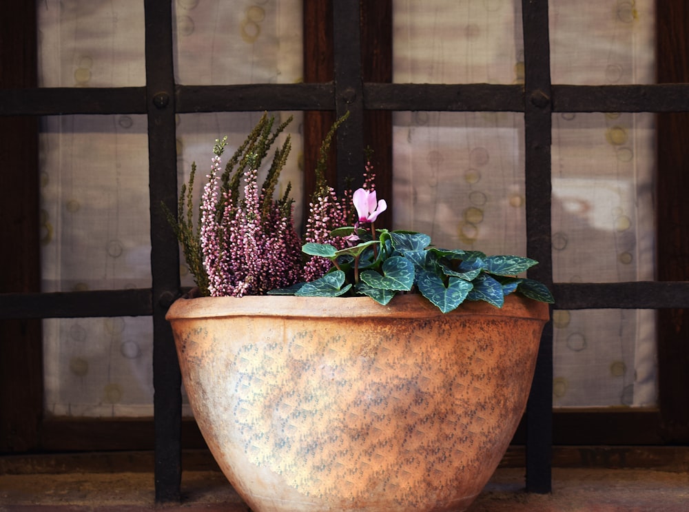 a pot of flowers