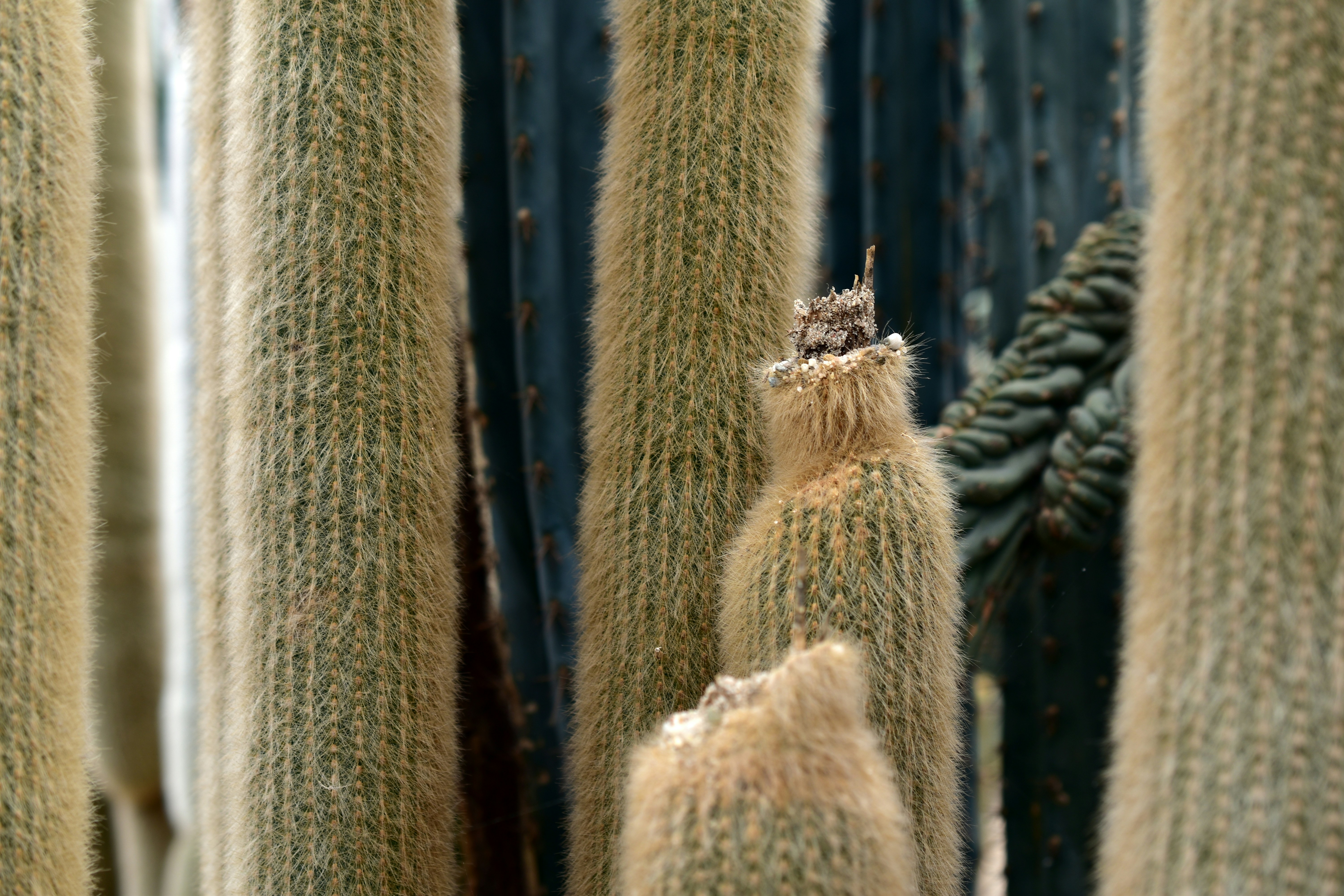 Afbeelding van Ruurlo