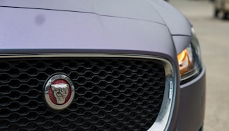 Close-up of a car’s front grille featuring the Green Fox Auto emblem.