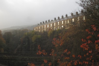 A row of stone-built terraced houses is situated on a hill surrounded by autumnal trees. The sky appears overcast, and the houses have visible chimneys lined up. Vibrant red and orange leaves are in the foreground, contrasting with the muted background.