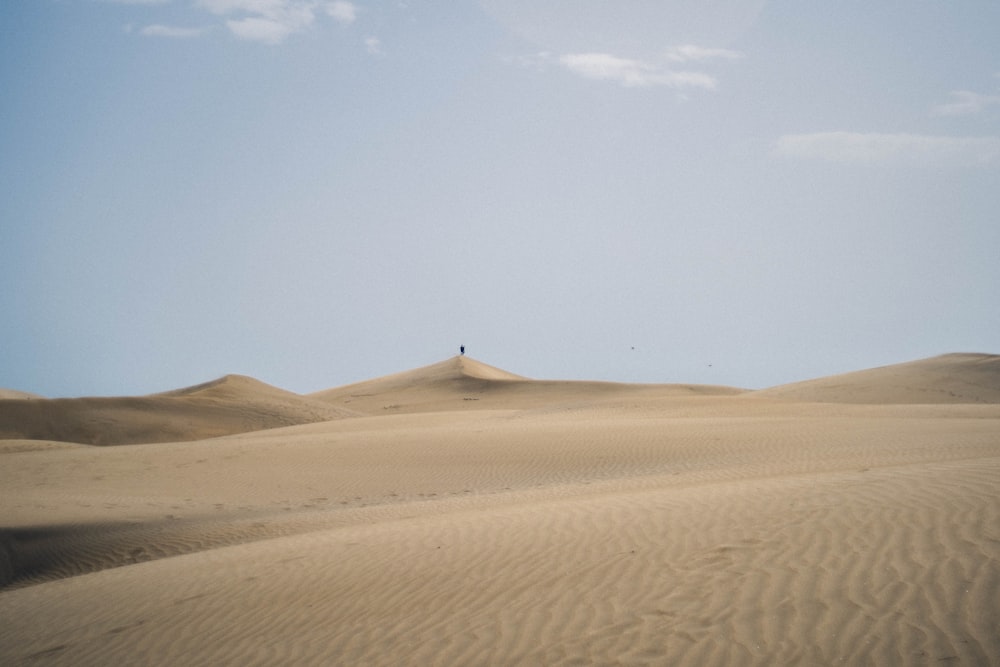 a sandy desert landscape