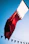 a flag flying in the air