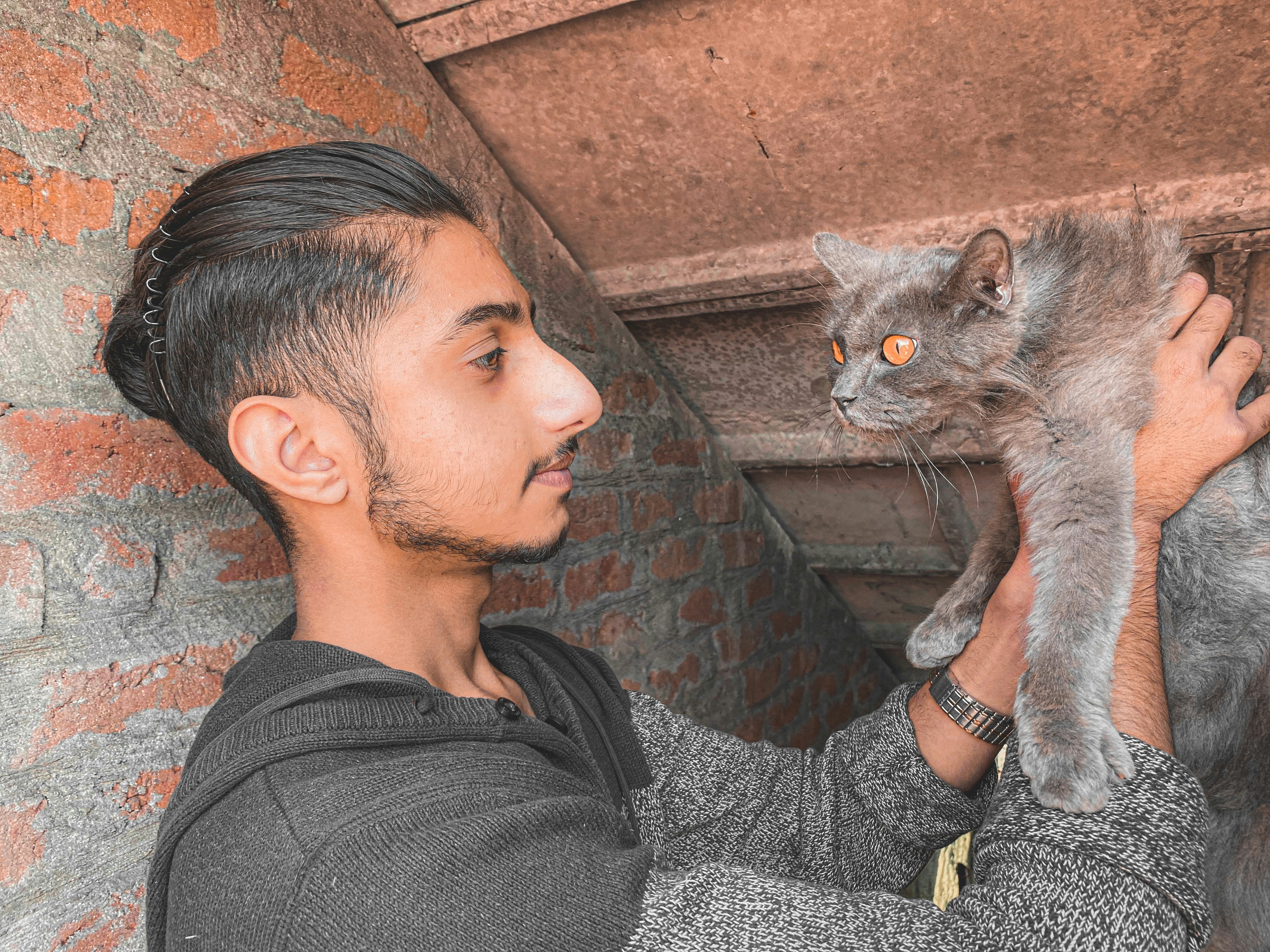 eine Person, die eine Katze hält