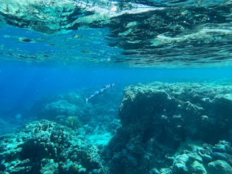 A sleek underwater drone gliding through clear ocean water near a coral reef.