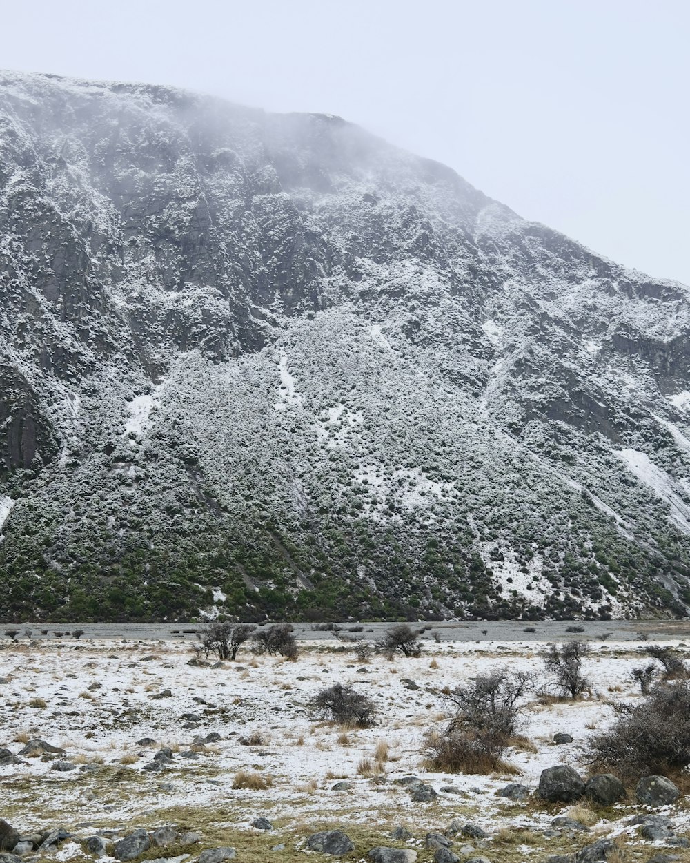 a rocky mountain with trees