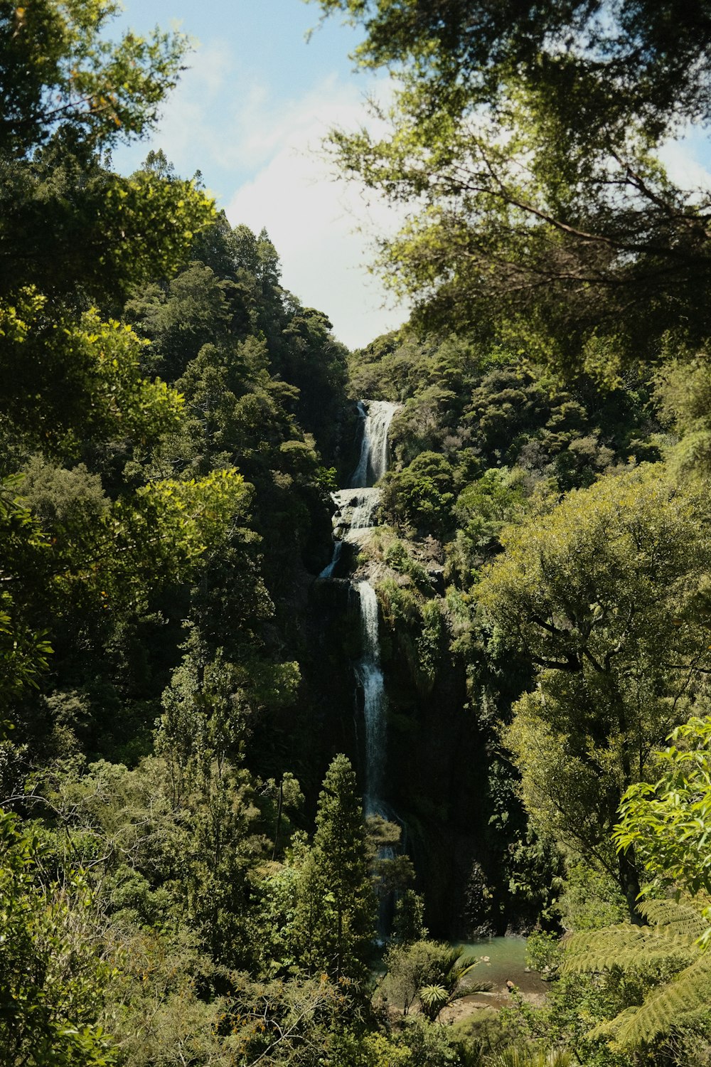 a waterfall in a forest