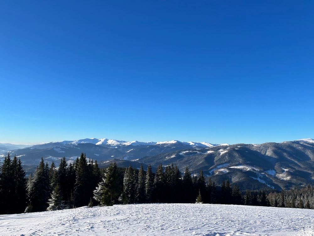 Eine verschneite Landschaft mit Bäumen und Bergen im Hintergrund