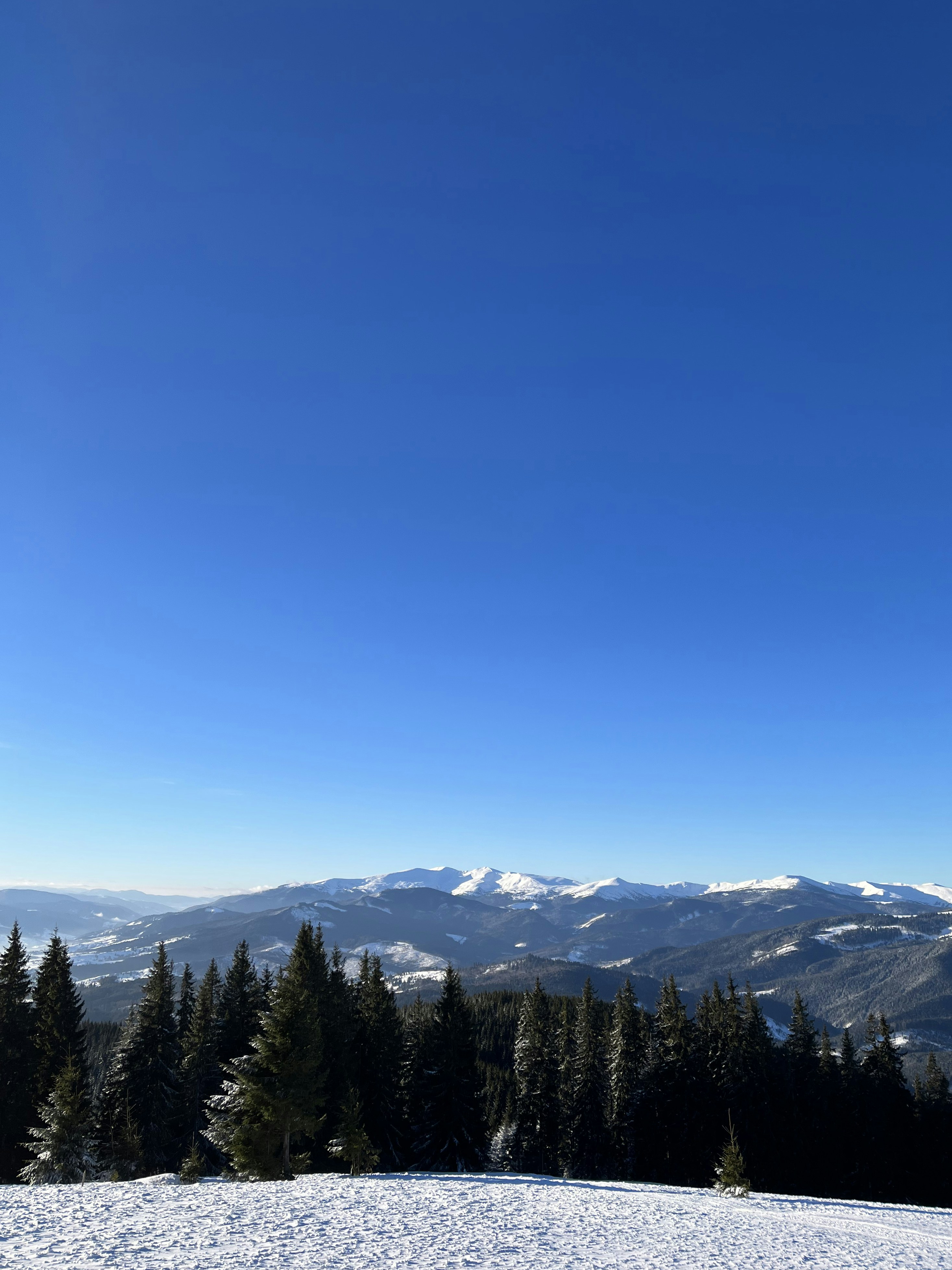 Photo by iamthejulia