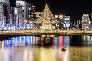 espectáculo de iluminación en Japón