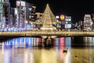 espectáculo de iluminación en Japón