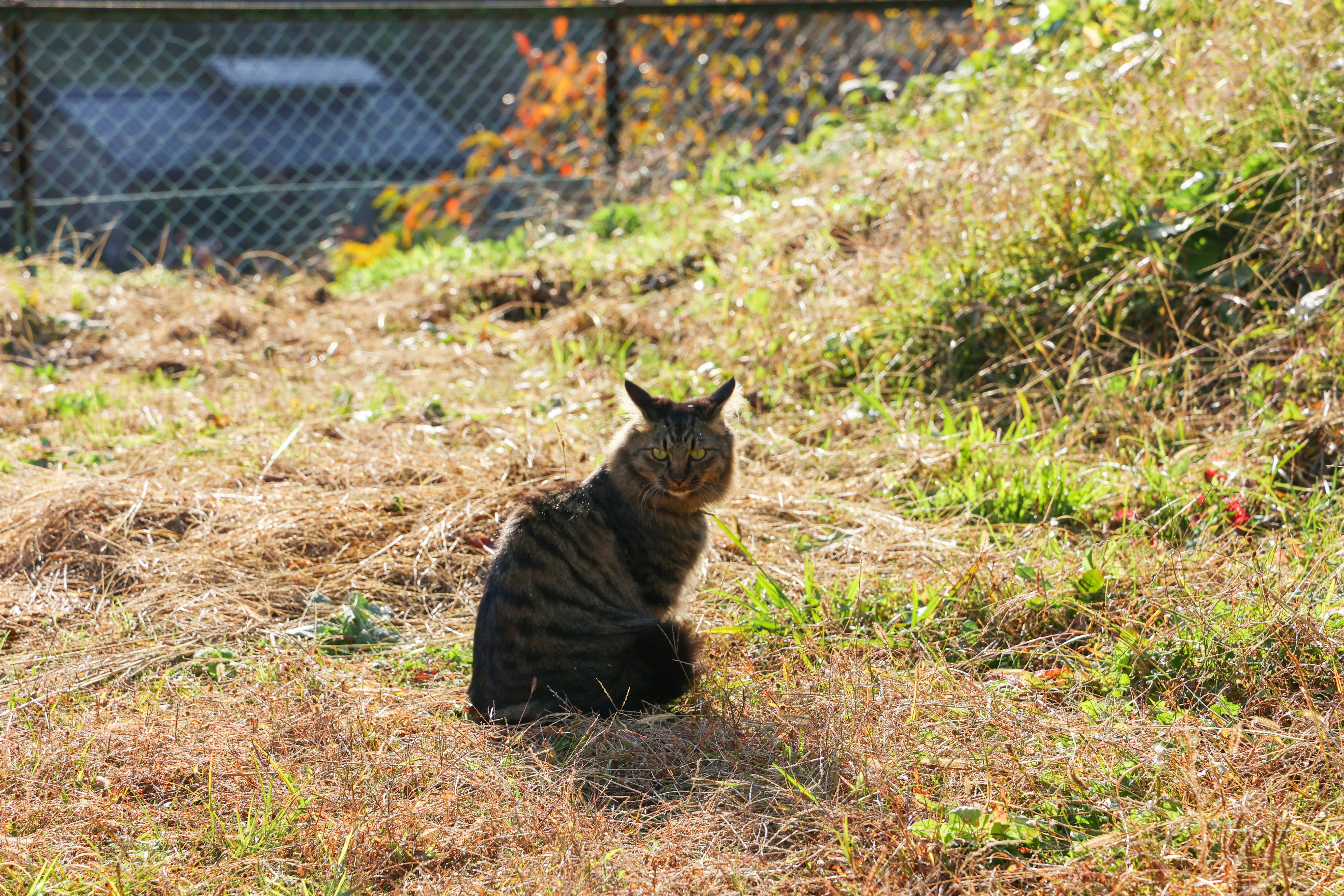 Photo by nananafuzimi