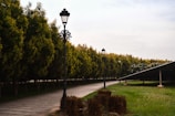 A paved pathway lined with tall street lamps runs beside a row of densely planted trees, creating a contrast against the expansive green field on the right. The pathway leads to a solar panel installation that slightly tilts up, with trimmed grass and bundled straw at the base adding to the landscape's neatness.