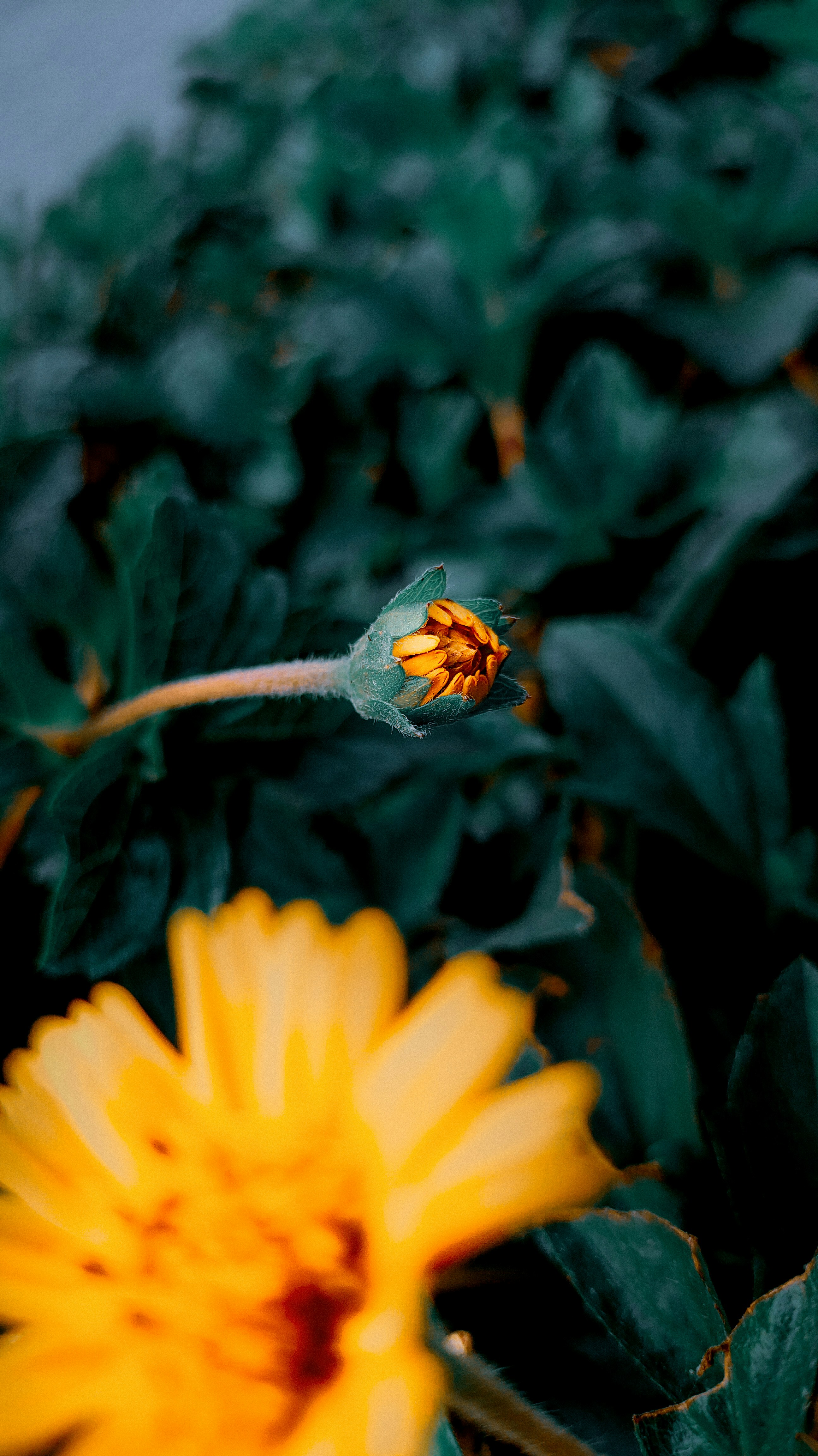 Photo by aj_most_beautifull