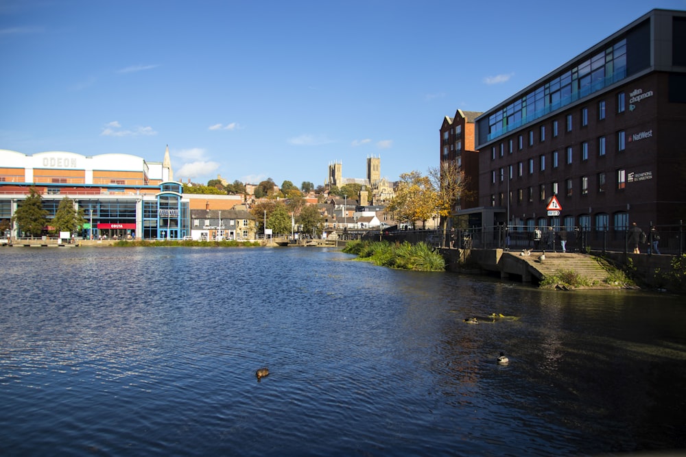 a body of water with buildings along it