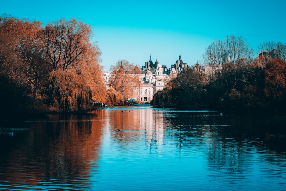 a body of water with trees around it and a building in the background