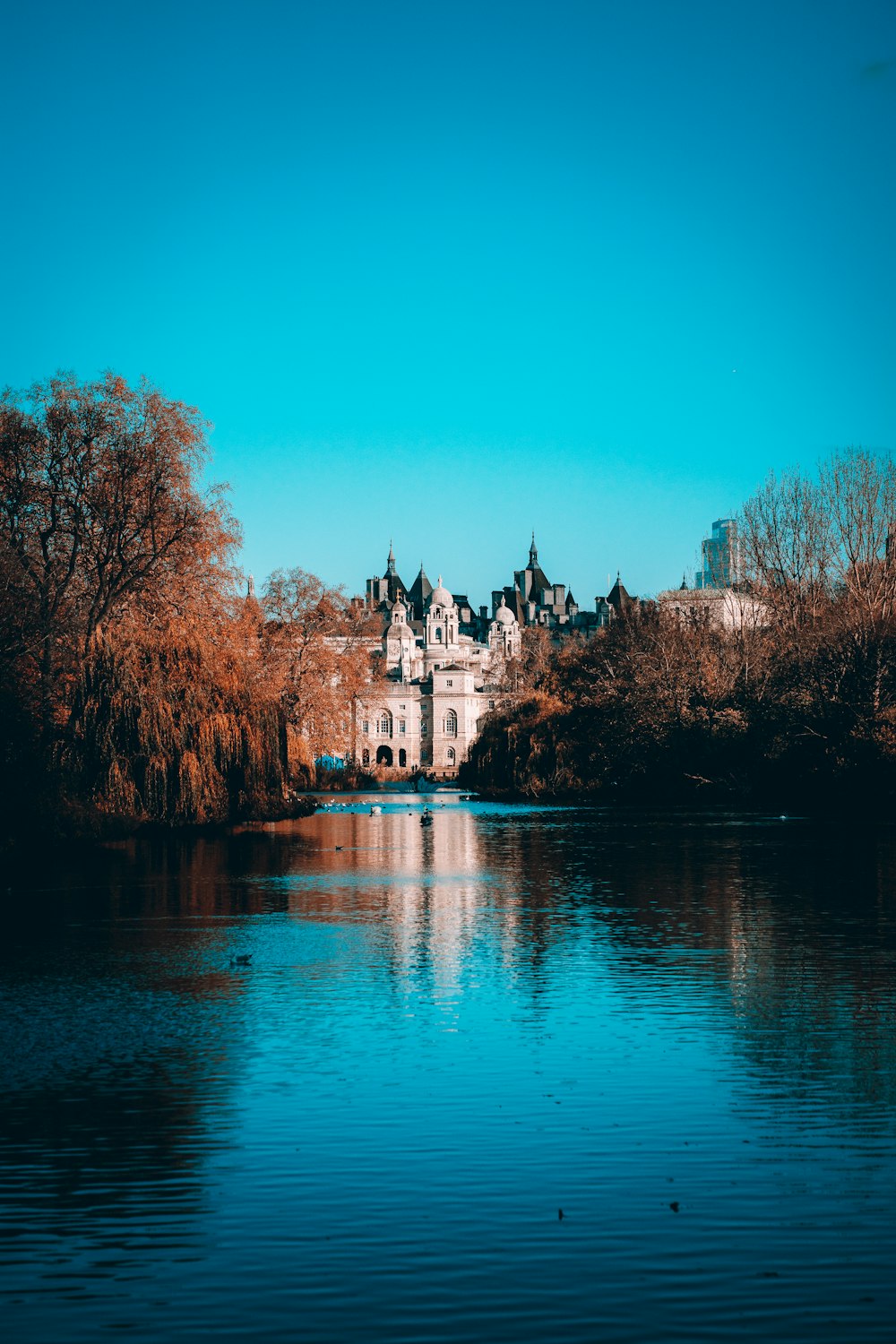 a large white castle with trees around it