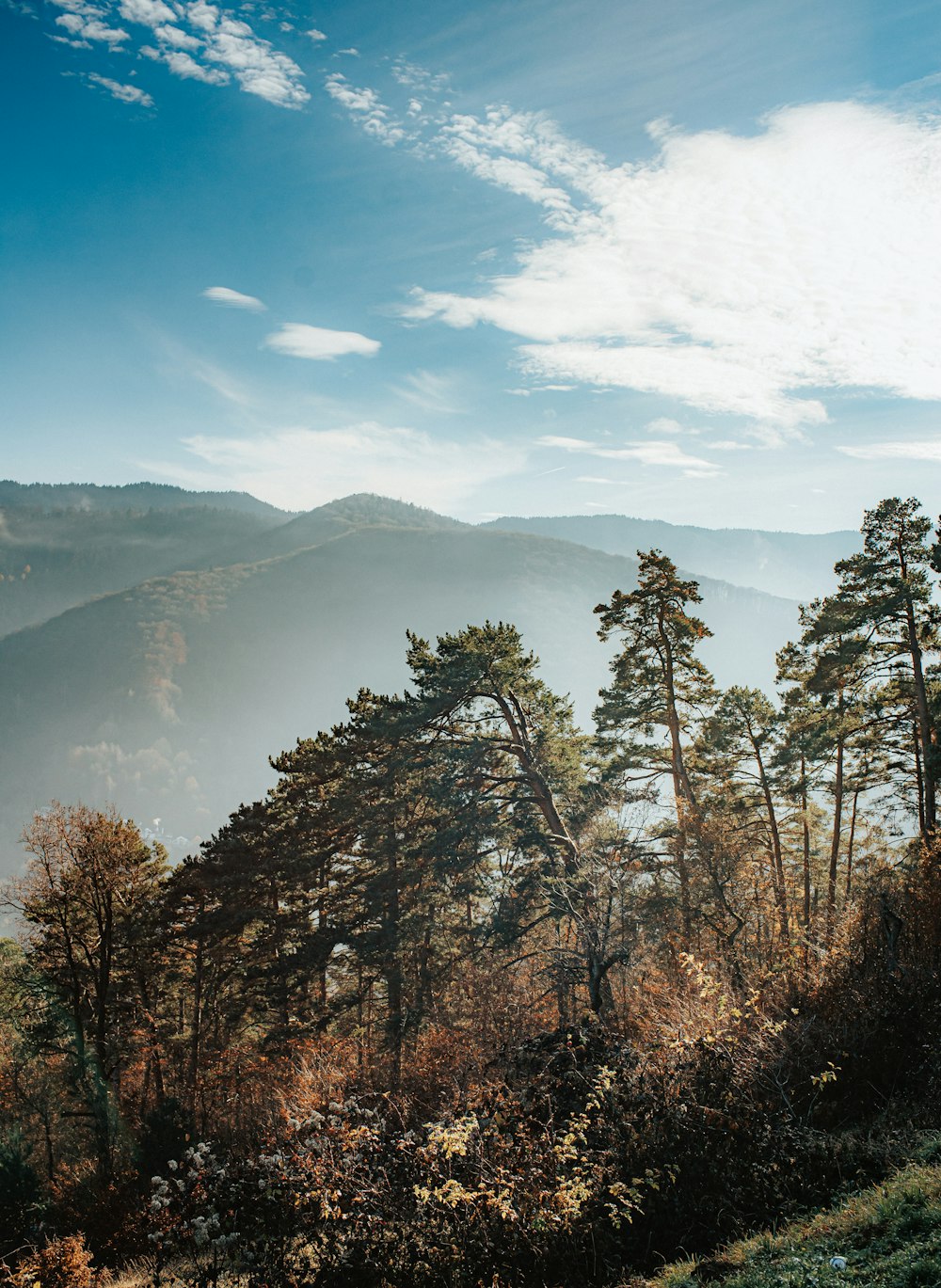 a view of a valley with trees and mountains in the background