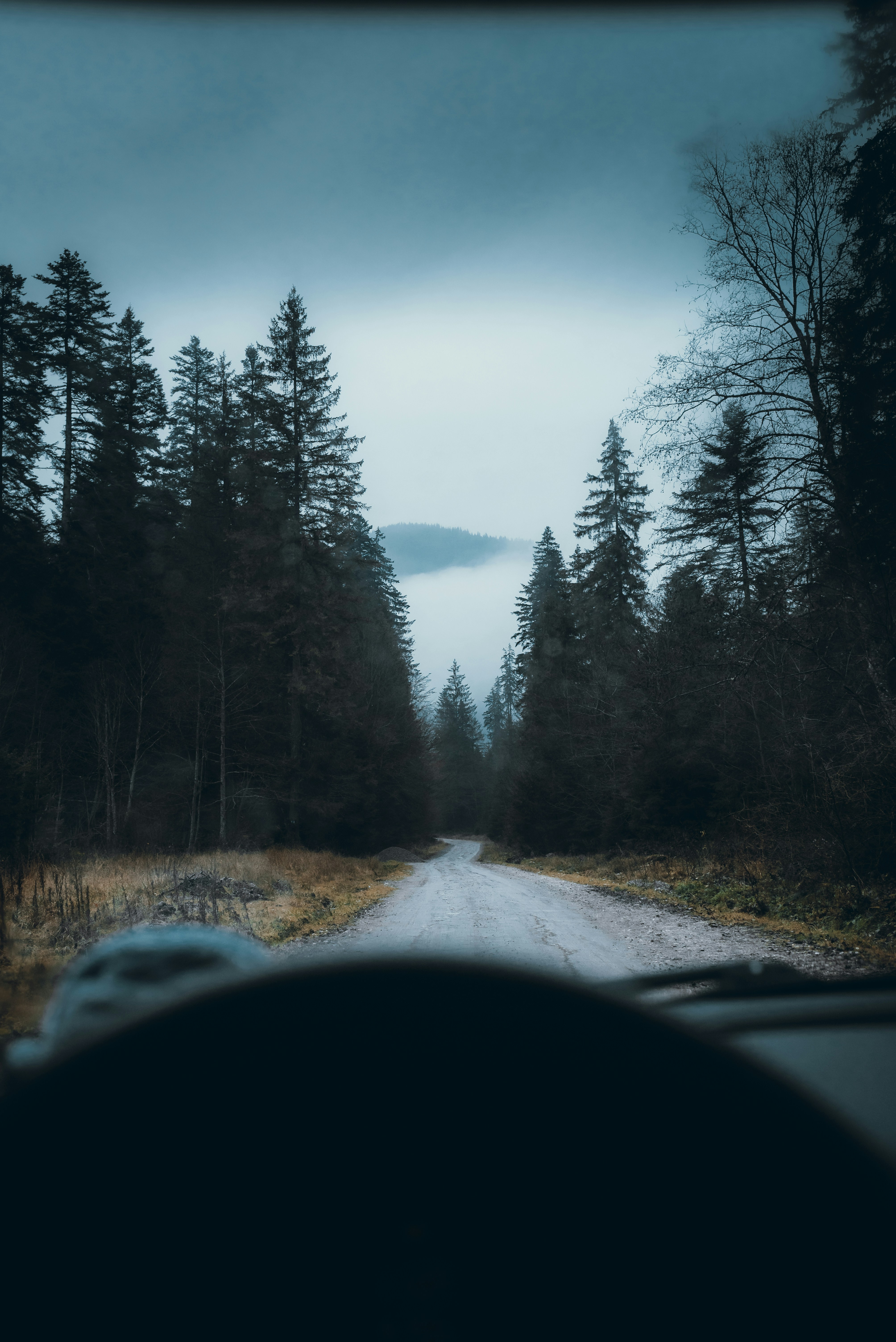 a road with trees on the side