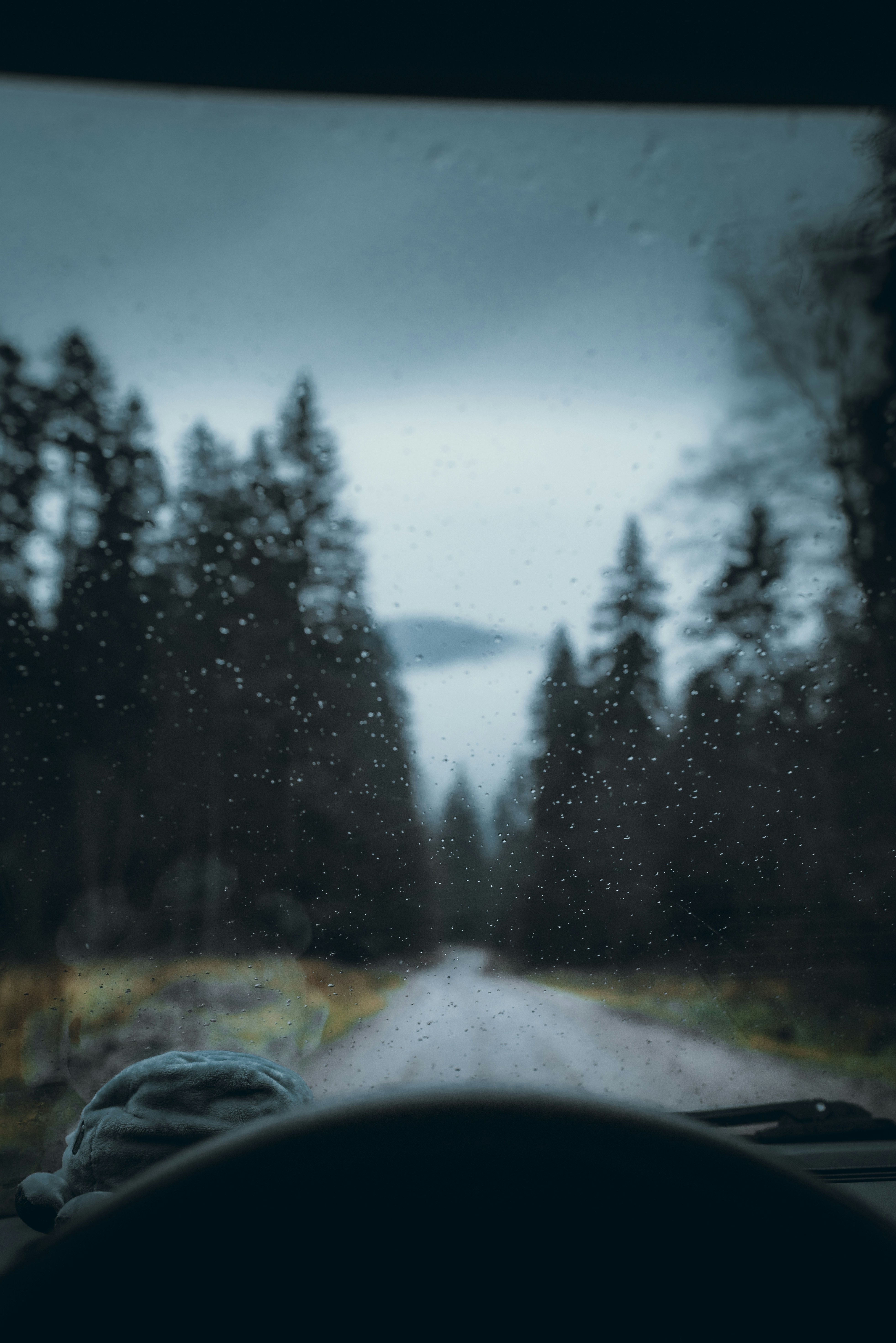 Photo by photopope