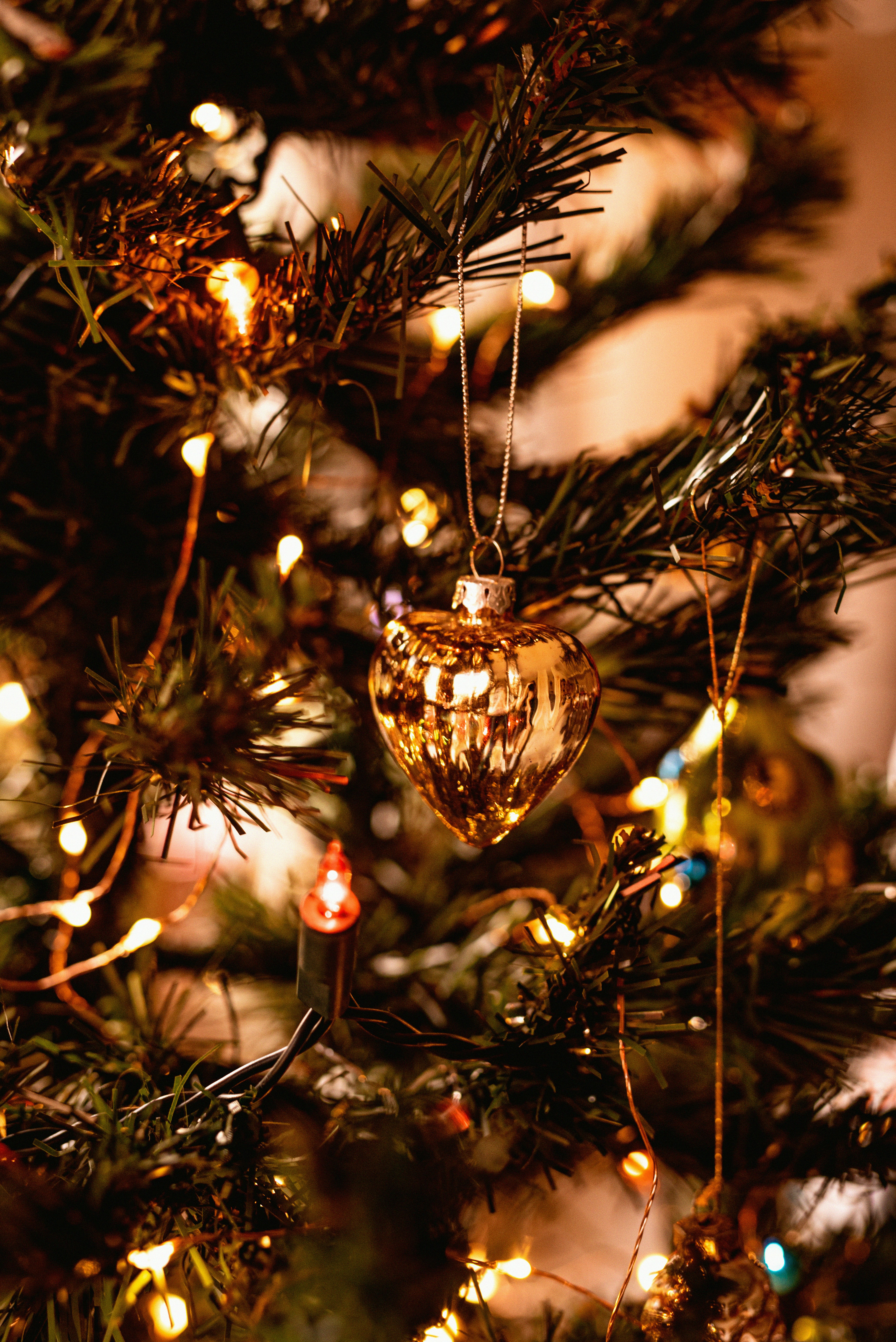 Un árbol con luces foto – Imagen de Navidad gratuita en Unsplash, image size:3000x4494