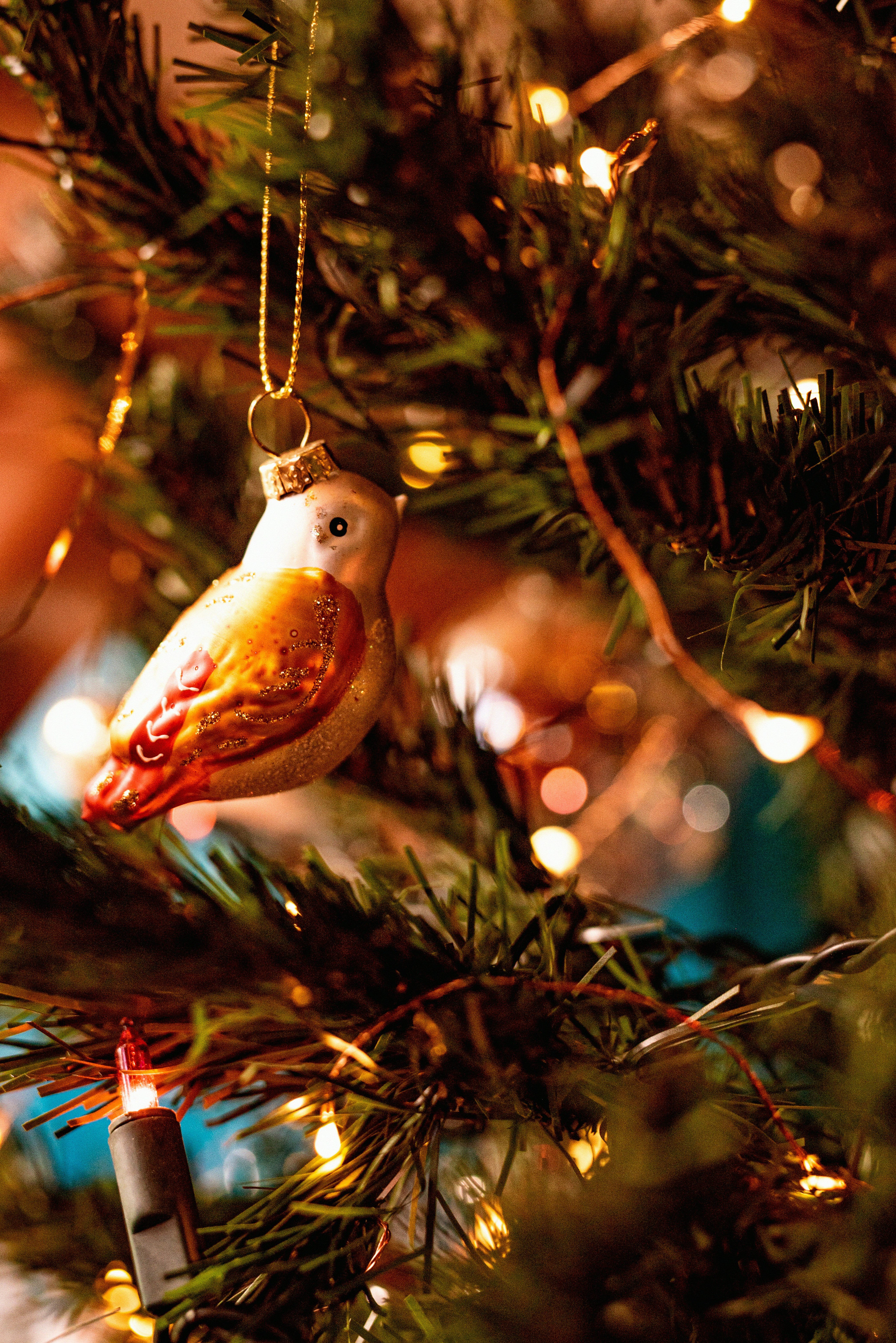 a christmas tree with a gold bird from it