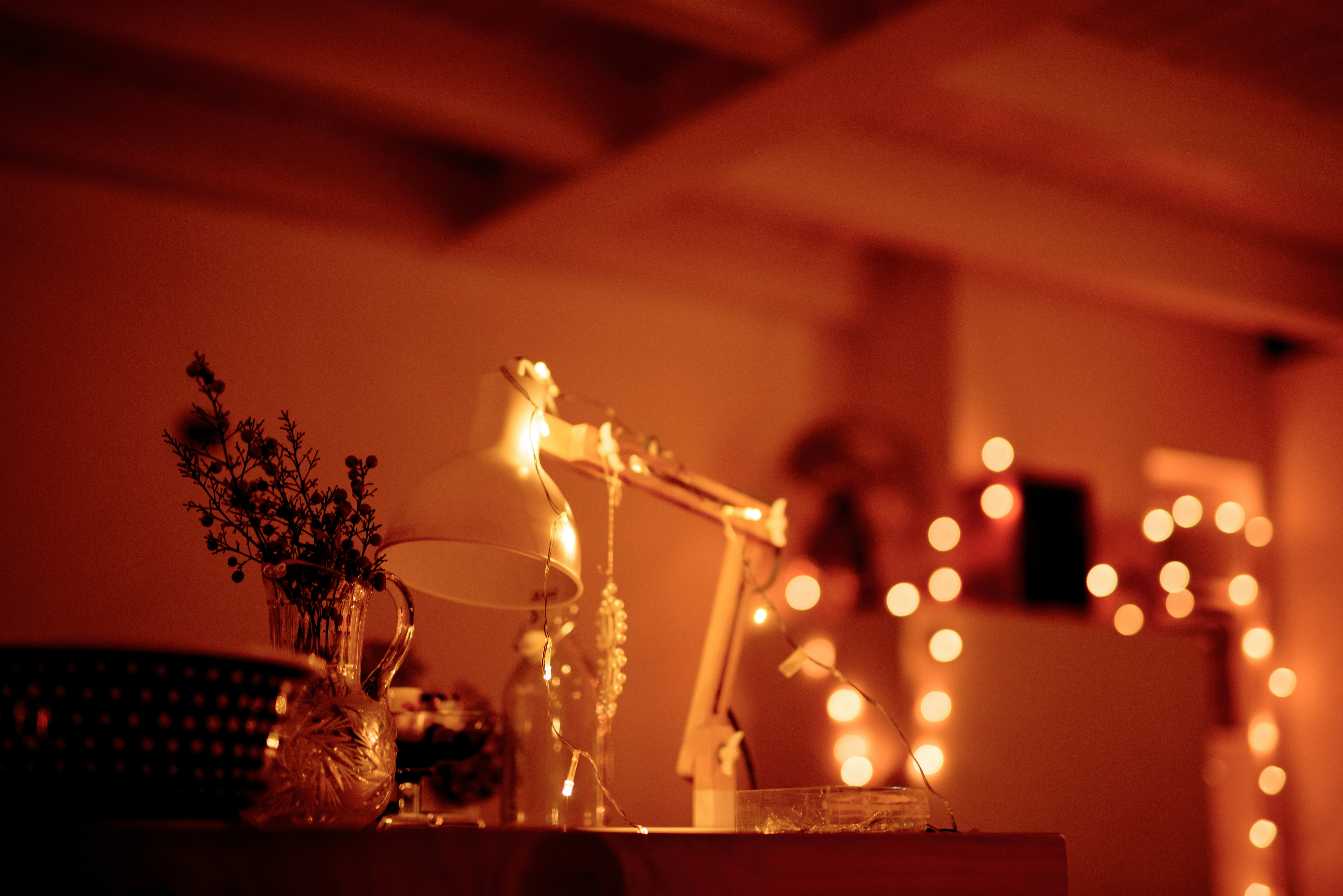 Photo by lauraadaiphoto