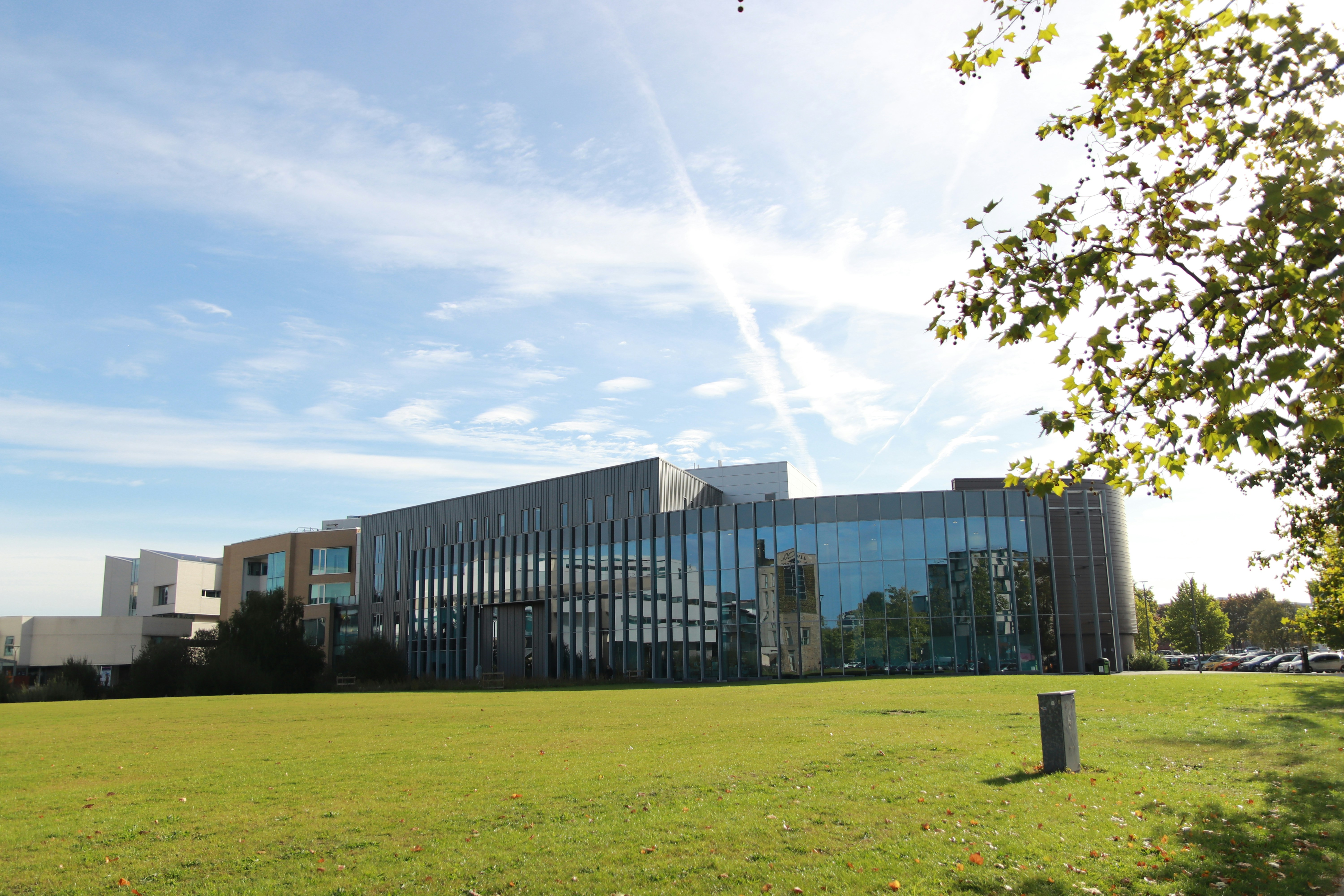 Photo by contentfiki