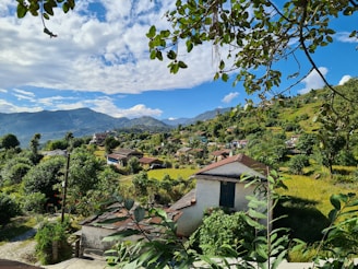 A scenic view of the village landscape with fields and houses.