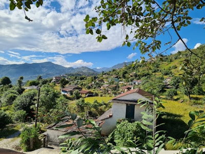A scenic view of the village landscape with fields and houses.