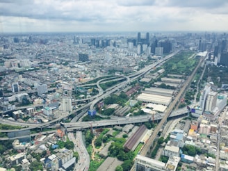 A sprawling urban landscape with numerous buildings and a network of elevated highways and train tracks. Skyscrapers rise in the distance against a backdrop of a cloudy sky. Patches of greenery intersperse the densely packed structures, and the infrastructure shows a complex transportation system in use.