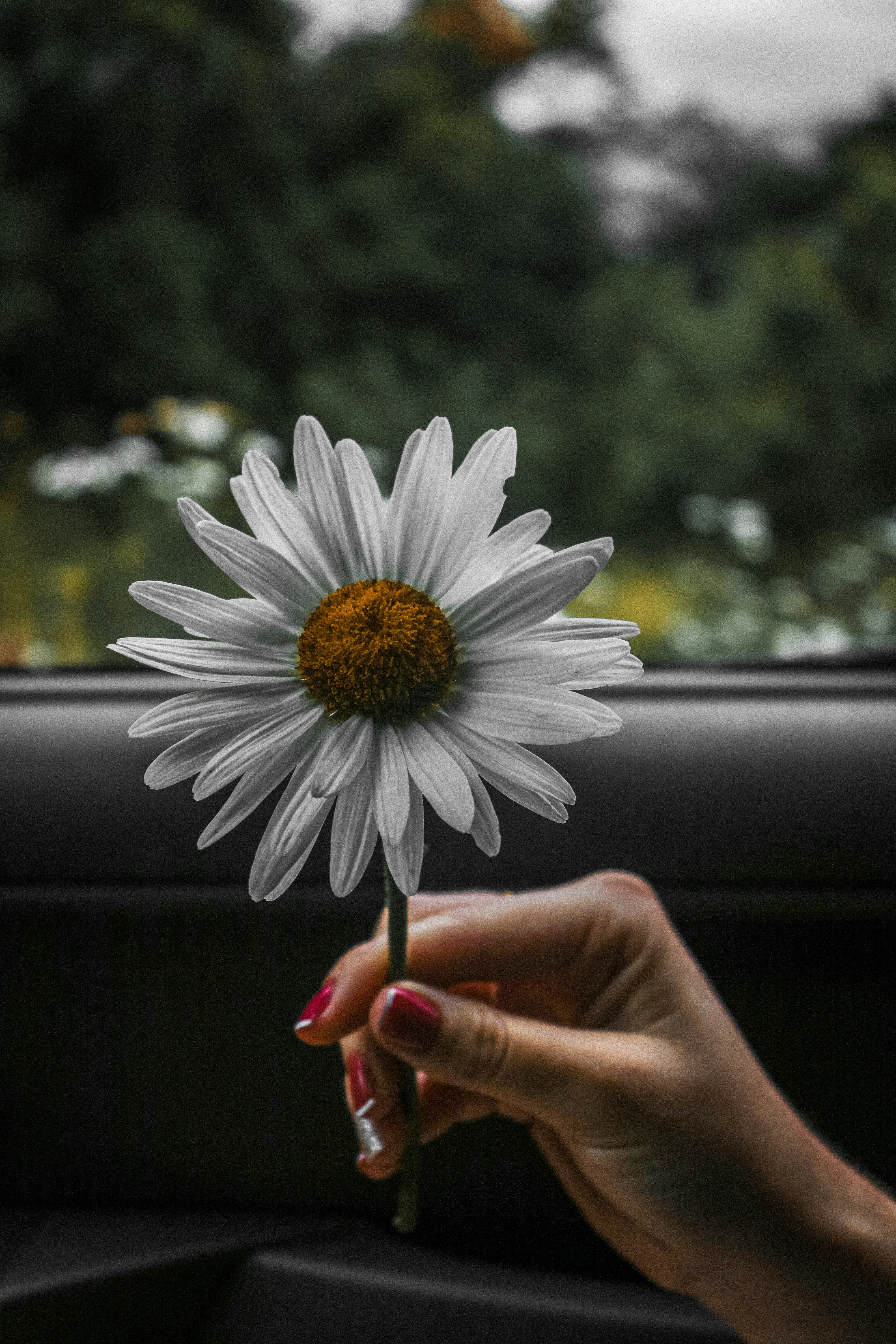 Photo by felpog