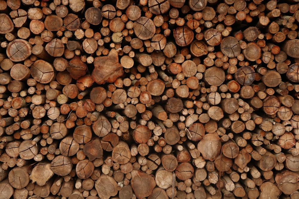 a pile of cut wood