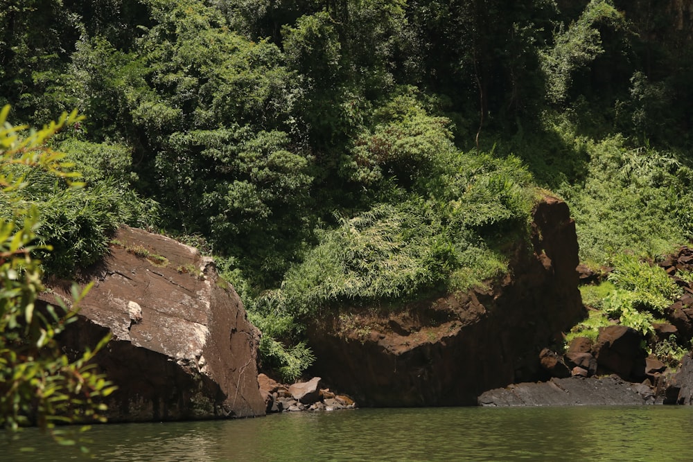 a rock in the water