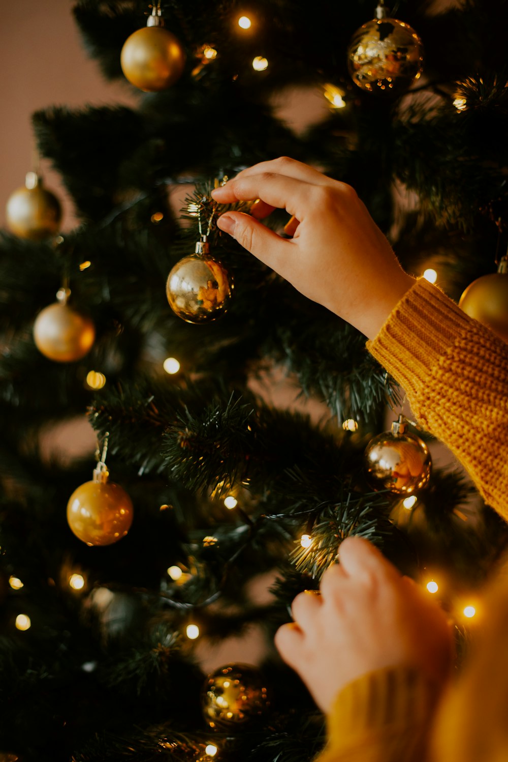 a person holding a christmas tree