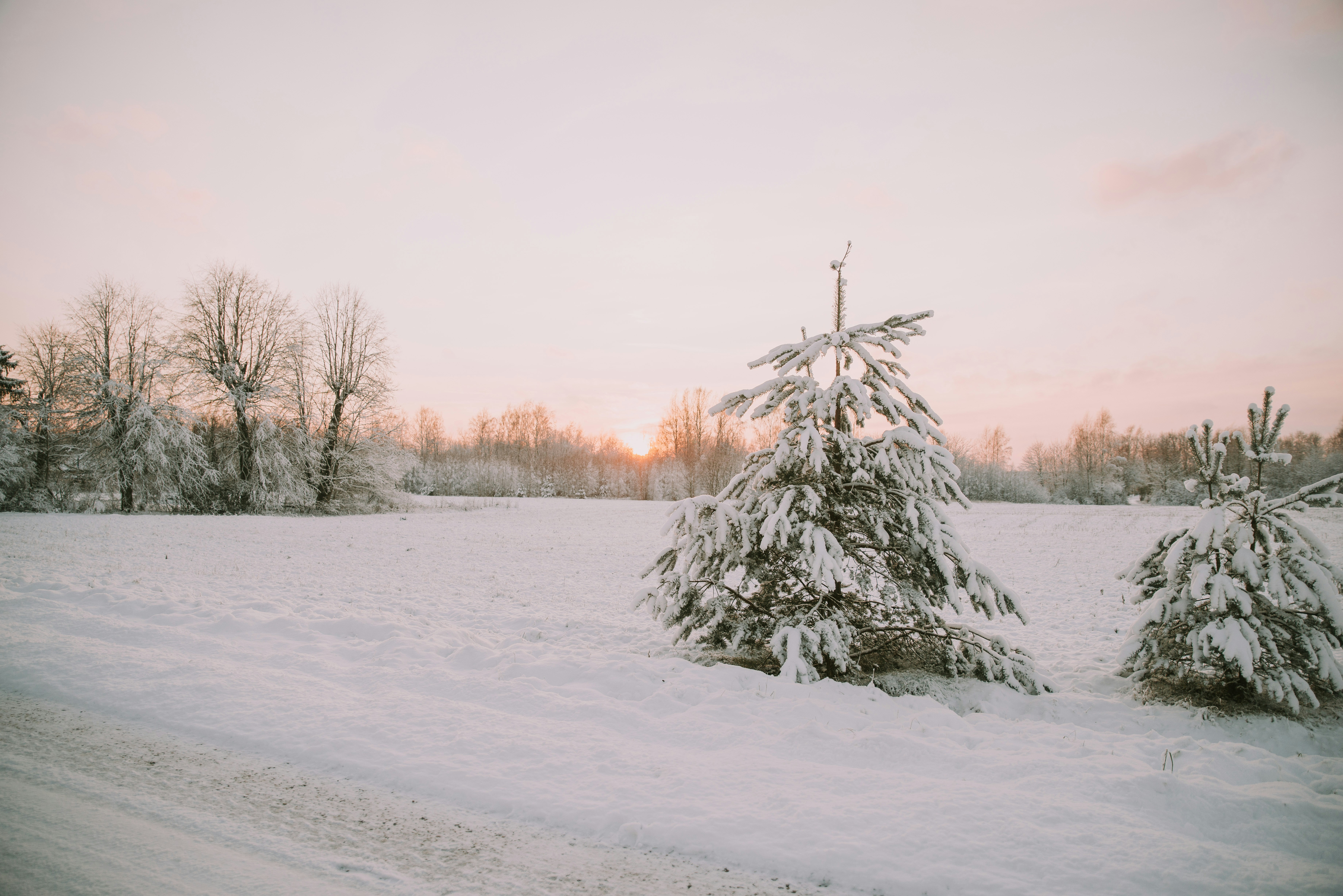 Photo by anitaaustvika