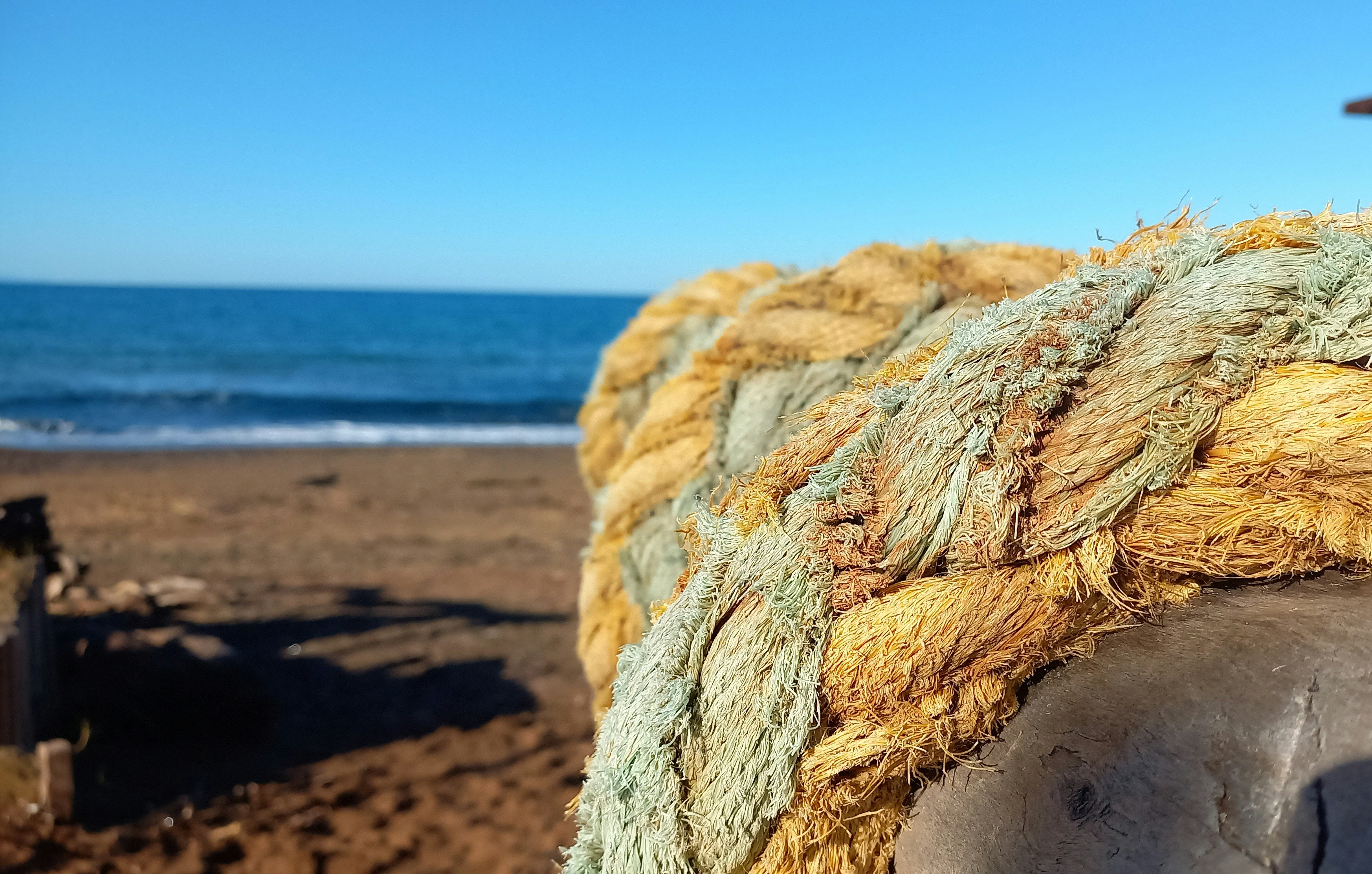 a pile of logs on a beach