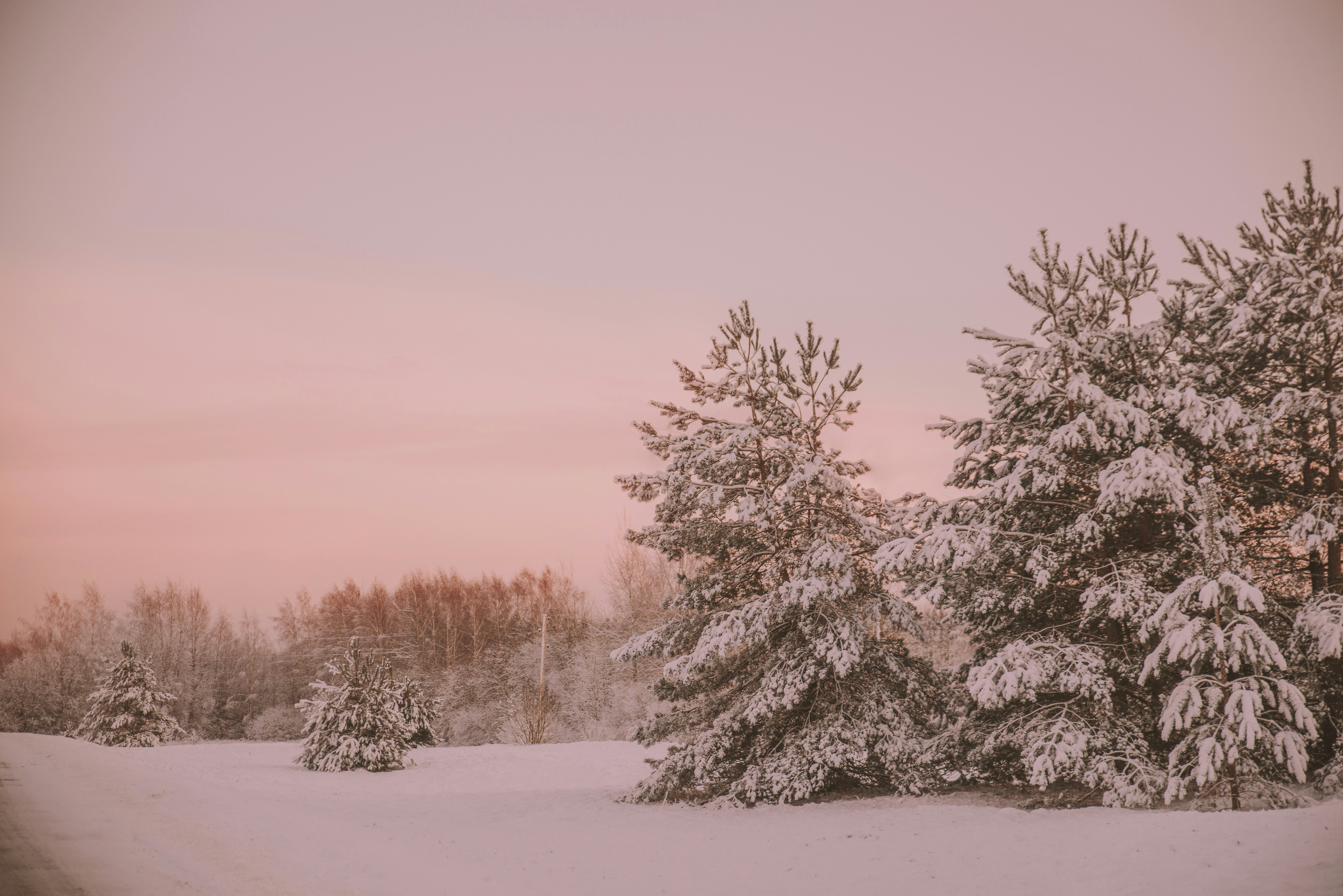 Photo by anitaaustvika