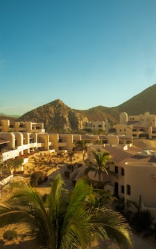 A sunny landscape featuring a complex of white, modern buildings set against a backdrop of rugged hills. The architecture is surrounded by palm trees and desert shrubs, reflecting a desert resort environment. The sky is clear and blue, contributing to a serene and warm atmosphere.