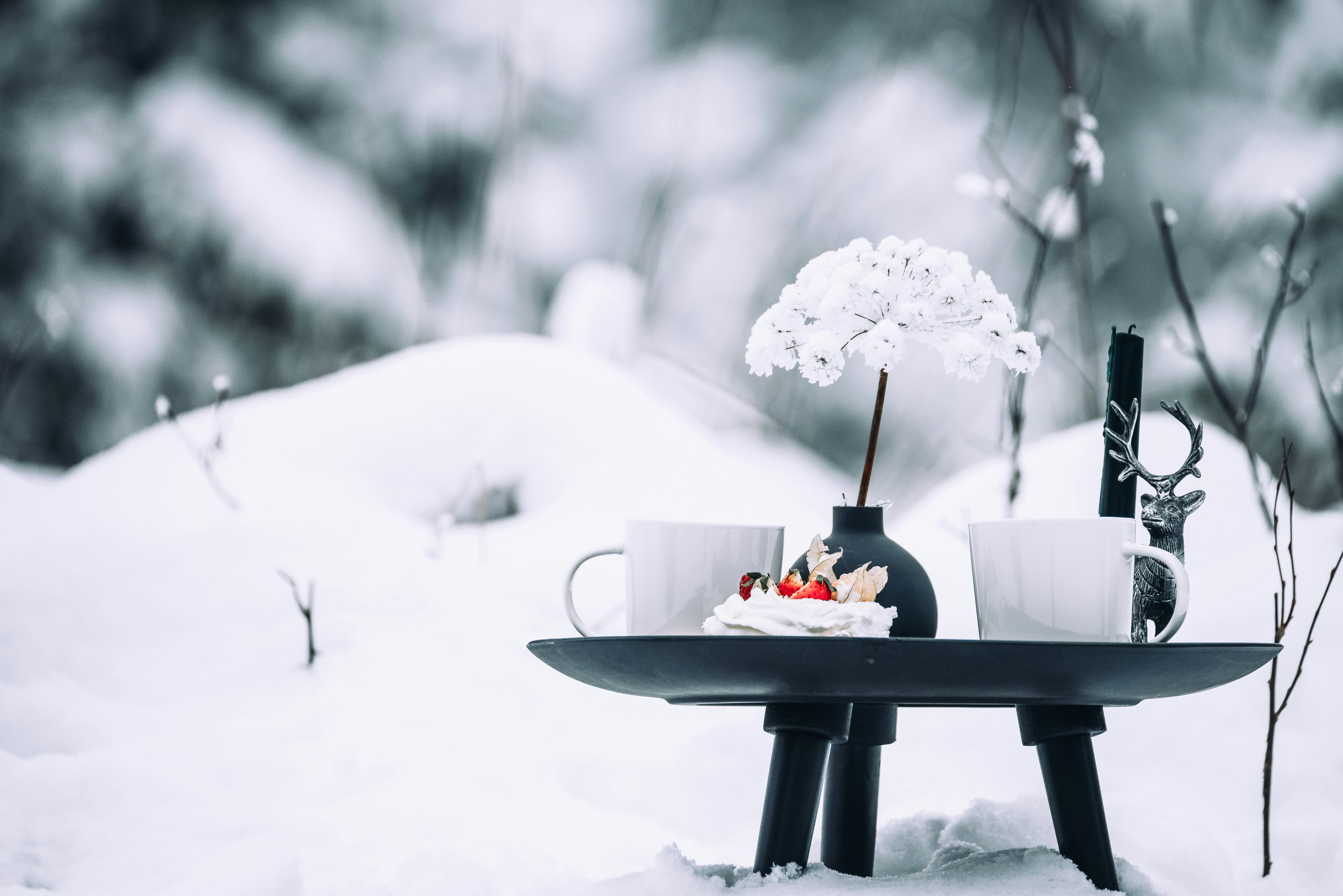 Harvest to hearth: Seasonal rituals for welcoming winter