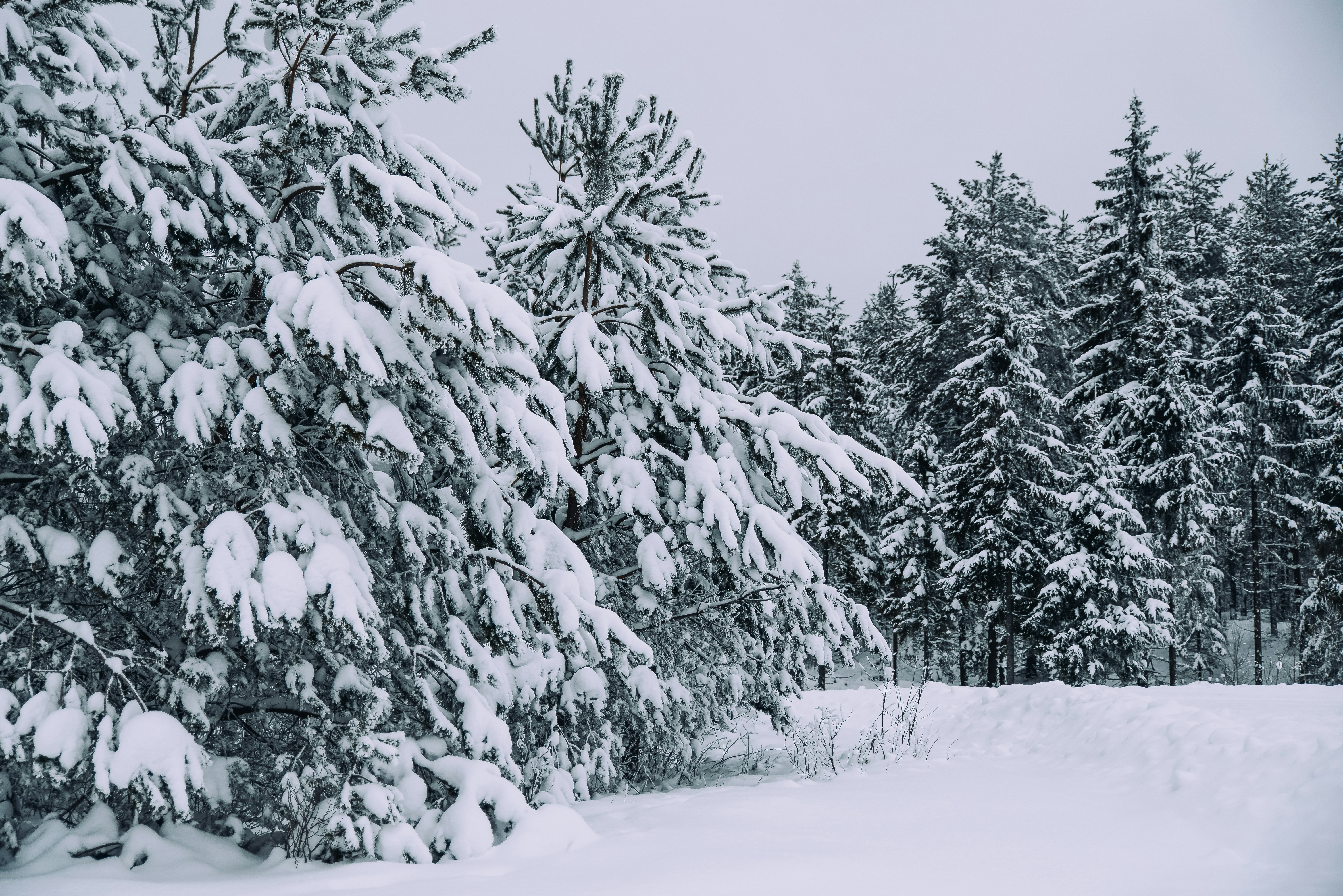 Photo by anitaaustvika