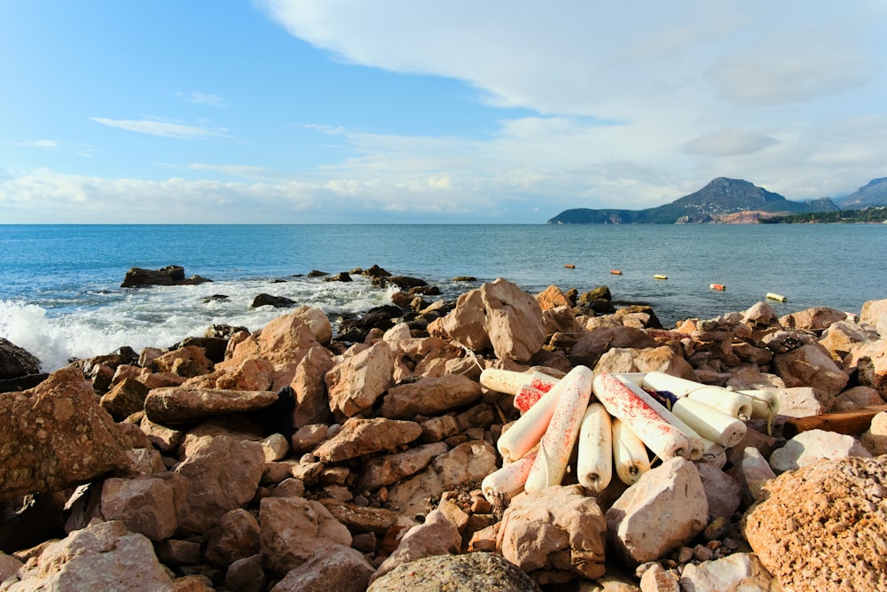 a rocky beach with a body of water in the background